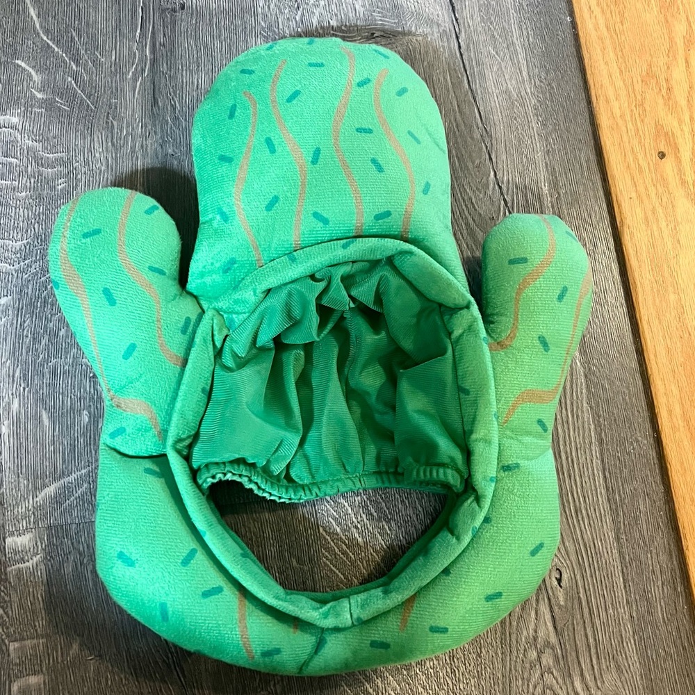 Used once Cactus hat costume 🌵